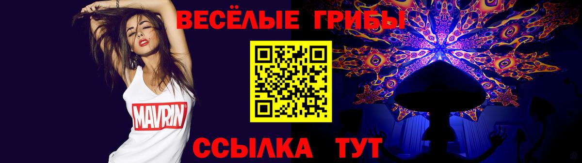 купить закладку  Вход с VPN  Кудымкар  Псилоцибиновые грибы Cubensis 